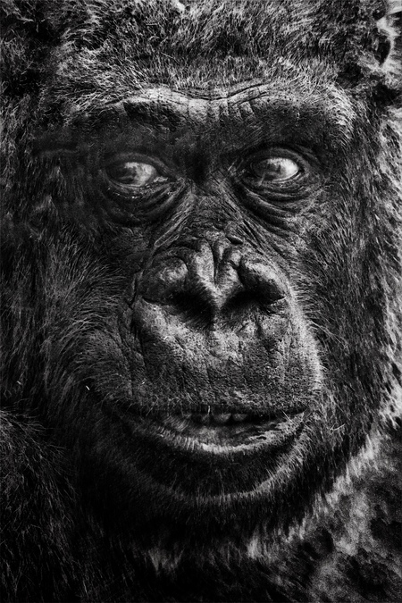 Entry image for My close up. Clicking this image will show a larger photo