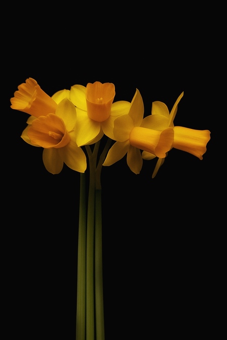 Renewal, Hope, New Beginnings