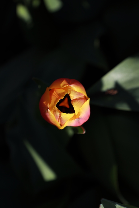 Entry image for Light in the dark. Clicking this image will show a larger photo