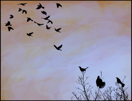 Entry image for Blackbird Fly. Clicking this image will show a larger photo