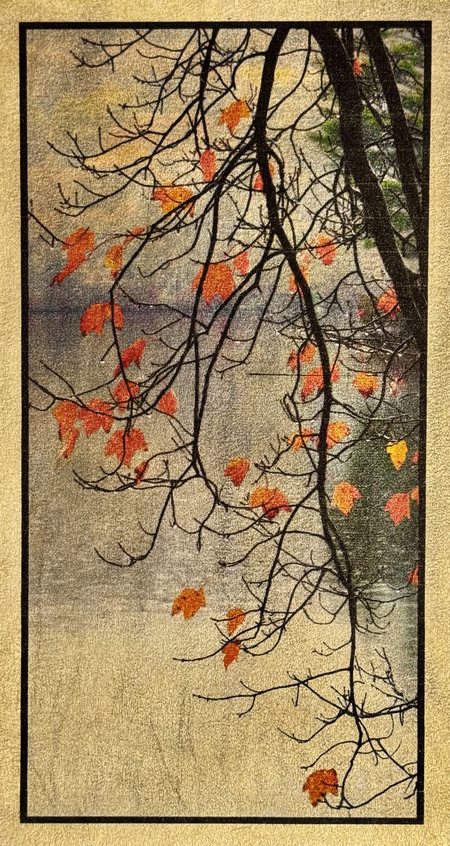 Entry image for Drizzle VII. Clicking this image will show a larger photo