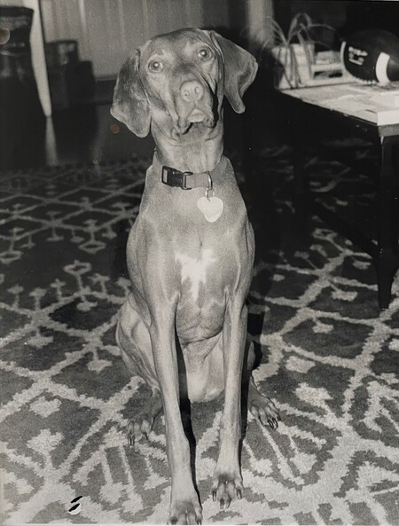 Entry image for Maggie in Analog. Clicking this image will show a larger photo