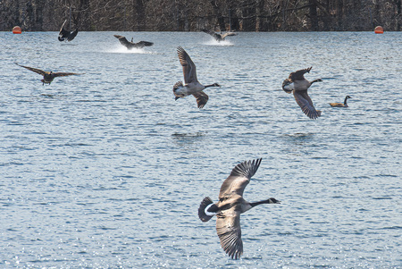 In flight