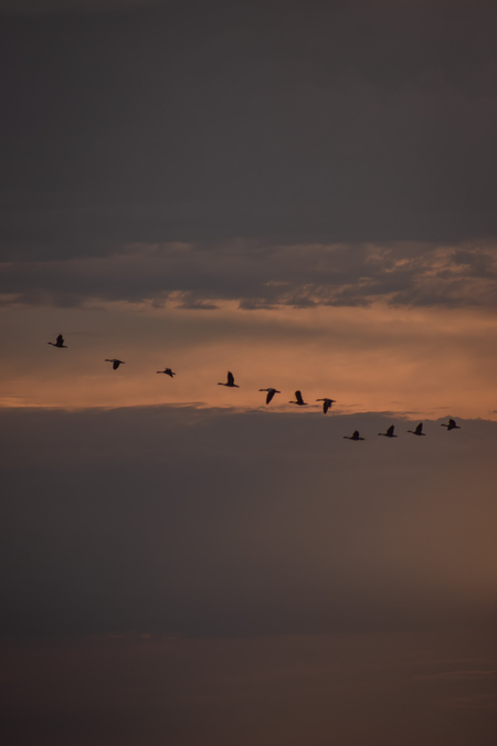 Sunset Travel