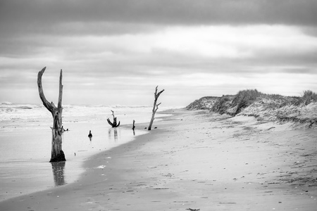 Assateague Island Beach