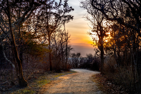 The Path