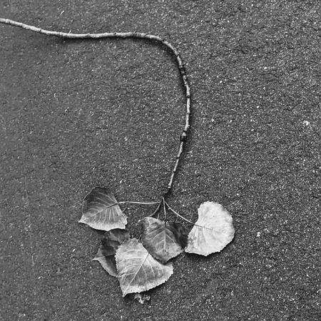 Necklace of Leaves