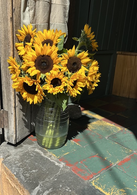 Sunflower Still Life