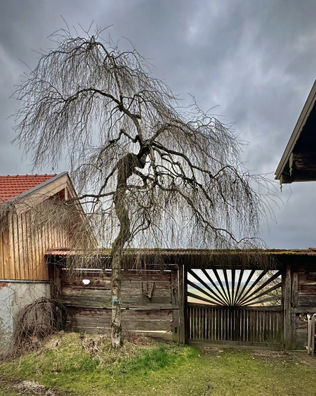 That Farmhouse Gate in Bavaria
