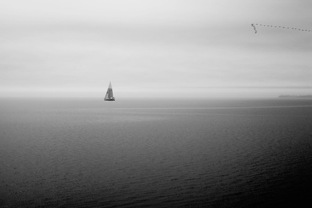 Sailboat and Geese, Westport
