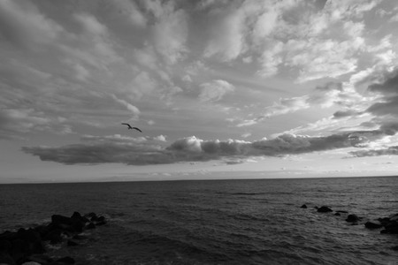 Waterfront View