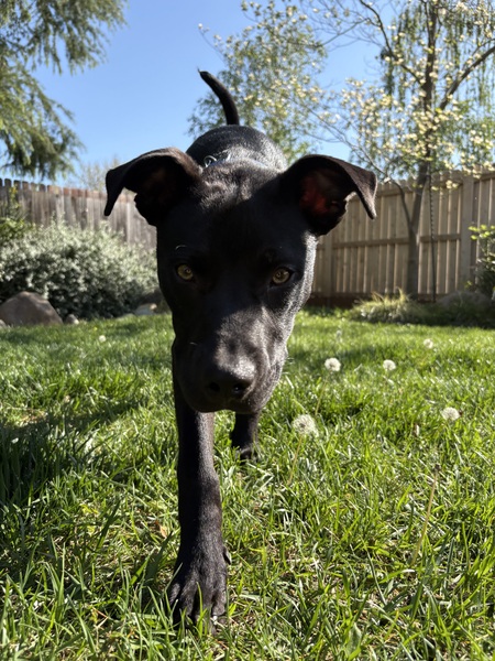 Radar