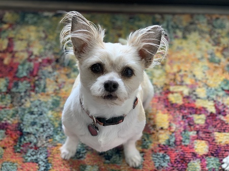 Roxy