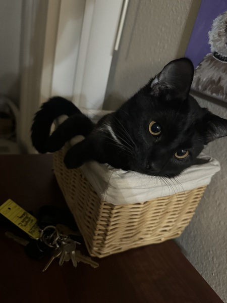 Binx