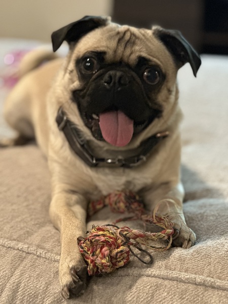 Benny