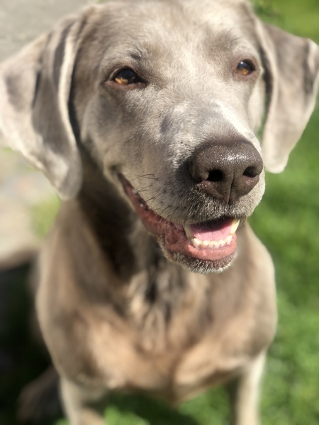 Ruby
