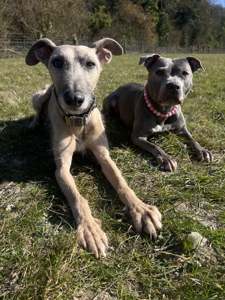 Phil & Dot 