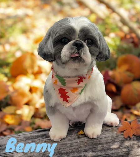 Benny Rendon
