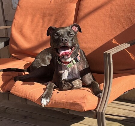 Cora