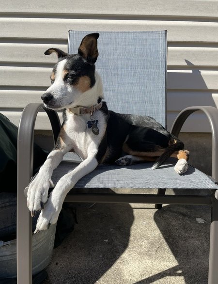 Cooper