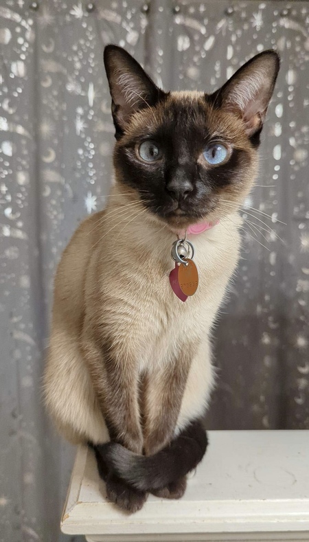 Peaches