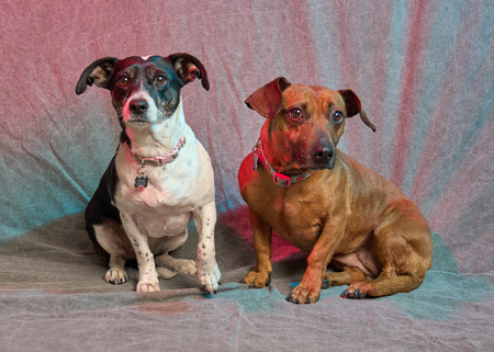 Tilly & Iris