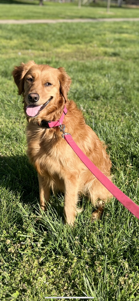 Millie 