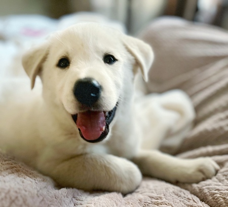 Winnie