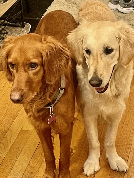 Philly & Lulu