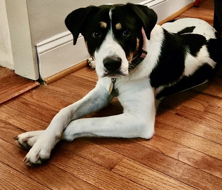 Ellie