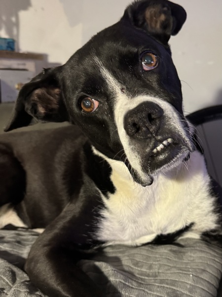 Roxy