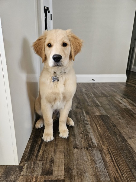 Charlie
