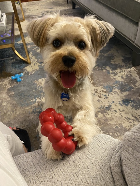 Benji