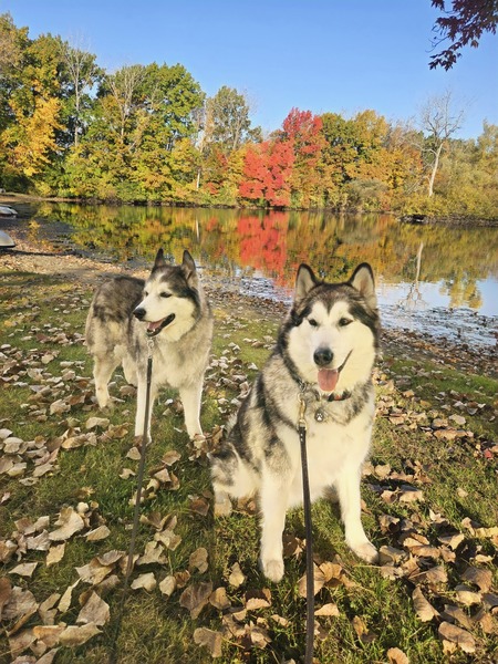 Yukon and Spirit