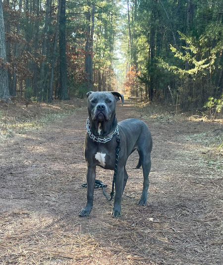 Vader