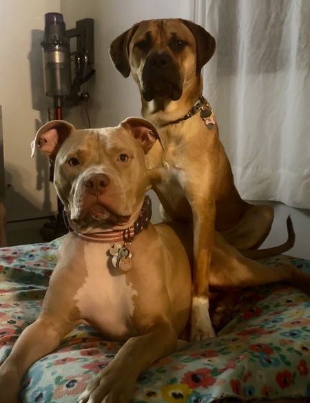 Arlo and Ivy