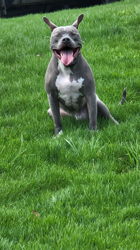 Milo