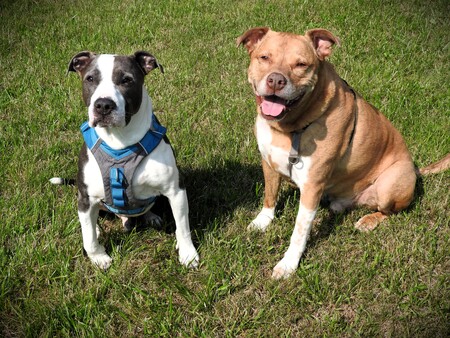 Thor & Berkley