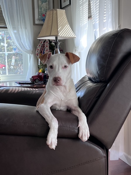 Chloe