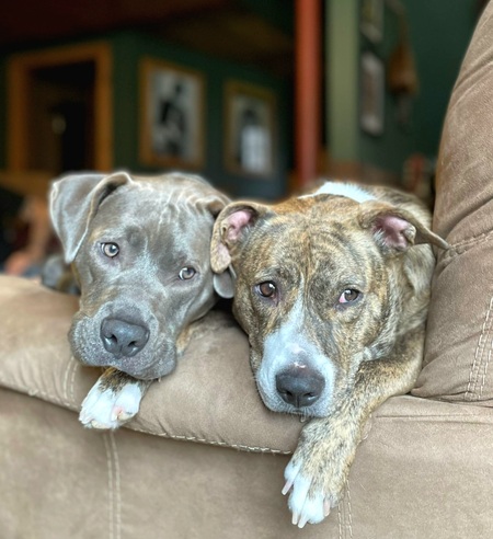 Axel and Nala