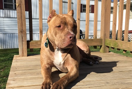 Marley