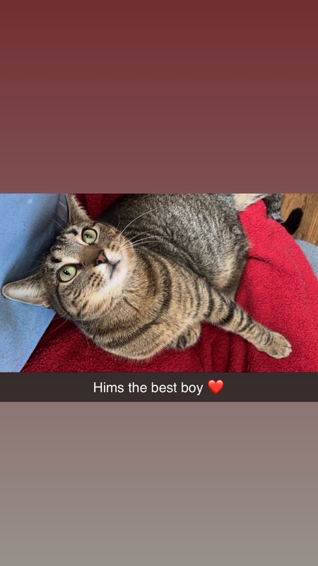 Theodore 
