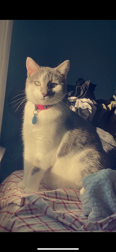 Kiara 