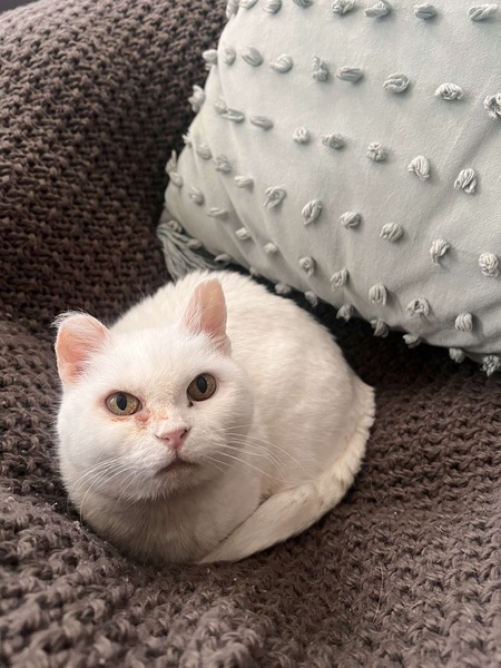 Pearl