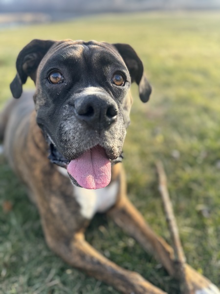 Tyson