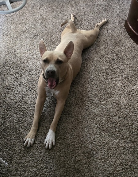 Nala