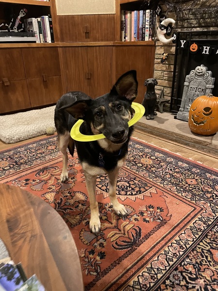 Lulu