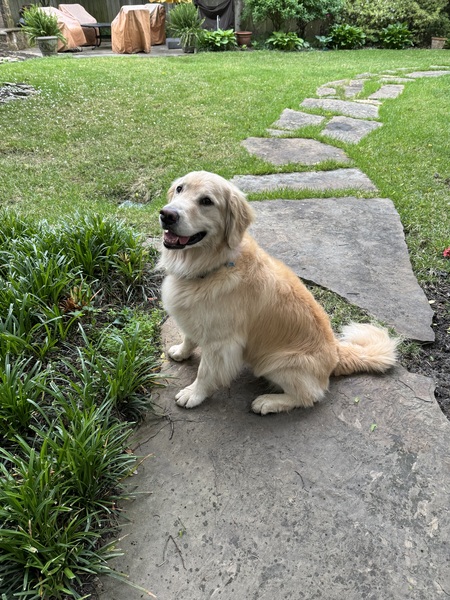 Cloe
