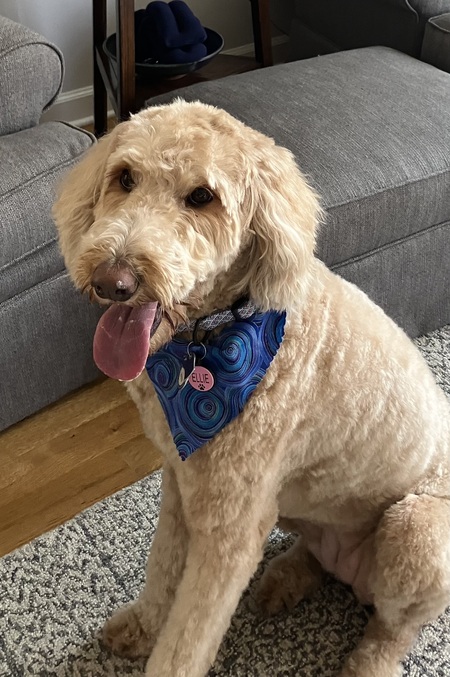 Ellie