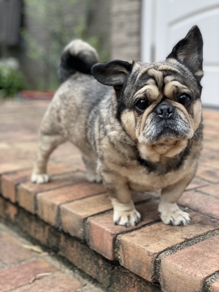 Mugsy